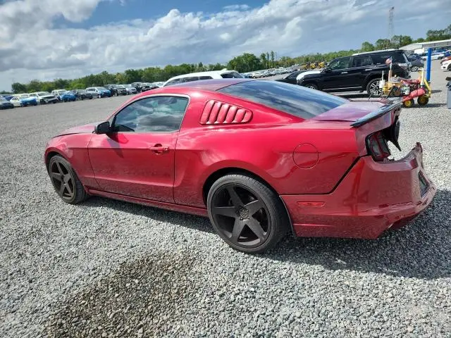 2014 FORD MUSTANG   
