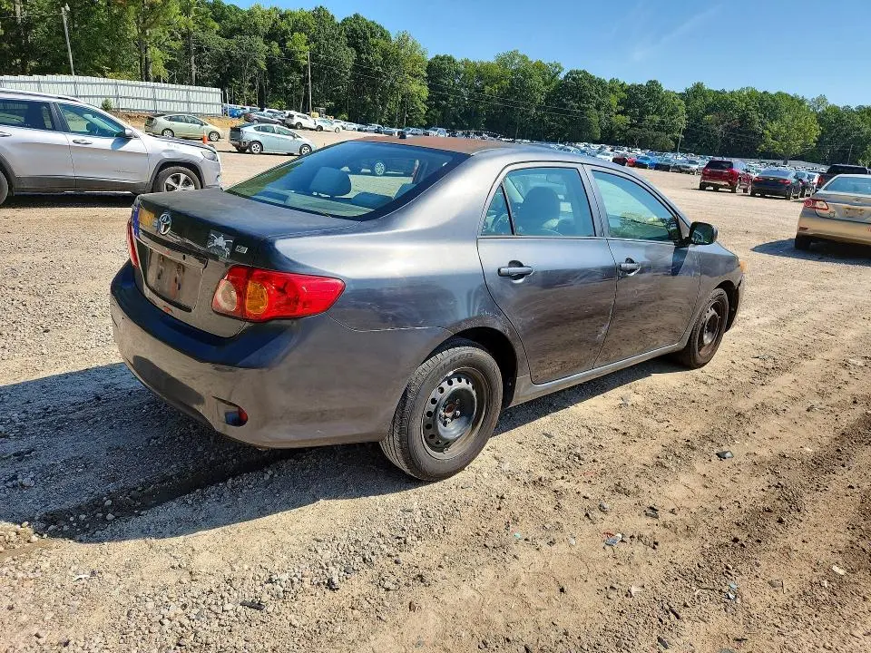 2010 TOYT COROLLA LE   