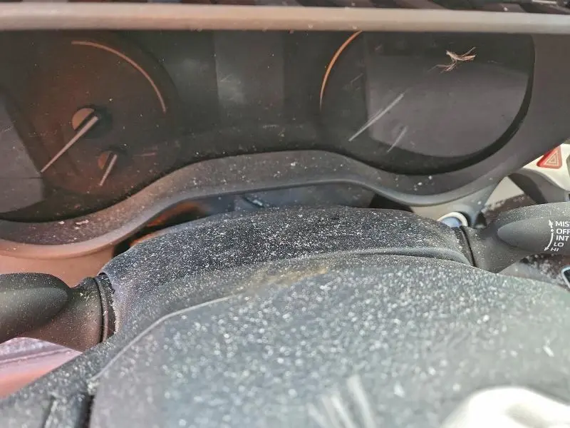 2024 TOYOTA SIENNA LE 8-PASSENGER  