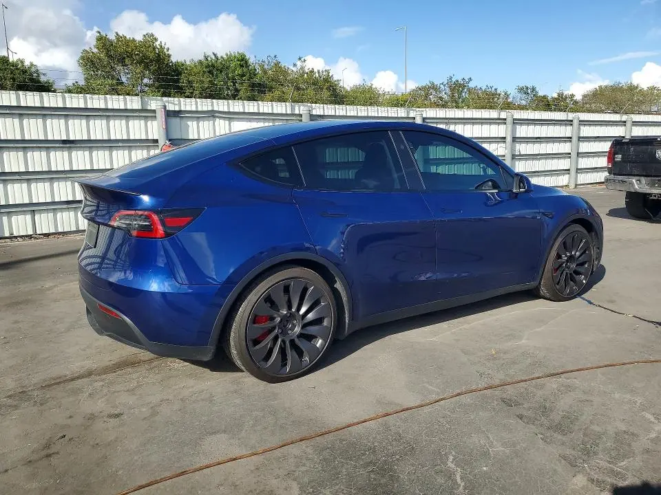 2025 TESLA MODEL Y   