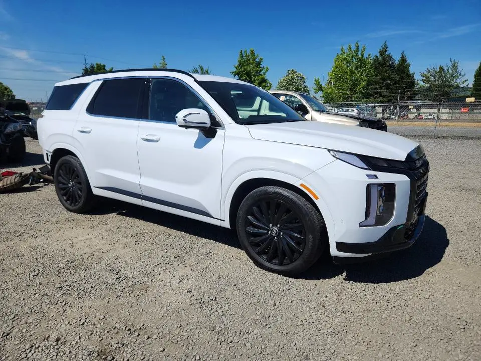 2025 HYUNDAI PALISADE CALLIGRAPHY NIGHT EDITION  