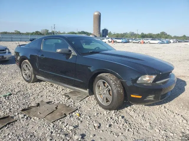 2010 FORD MUSTANG   