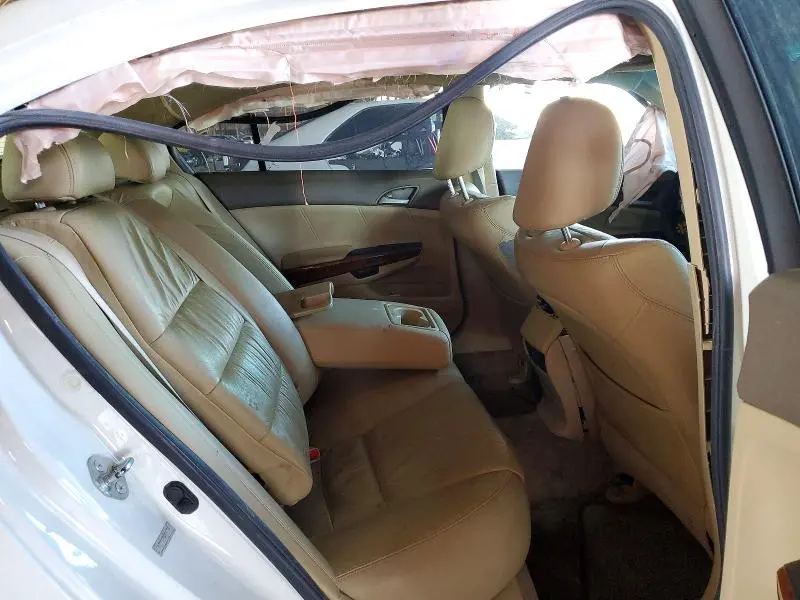 2010 HONDA ACCORD EXL  