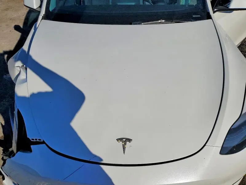 2025 TESLA MODEL Y   