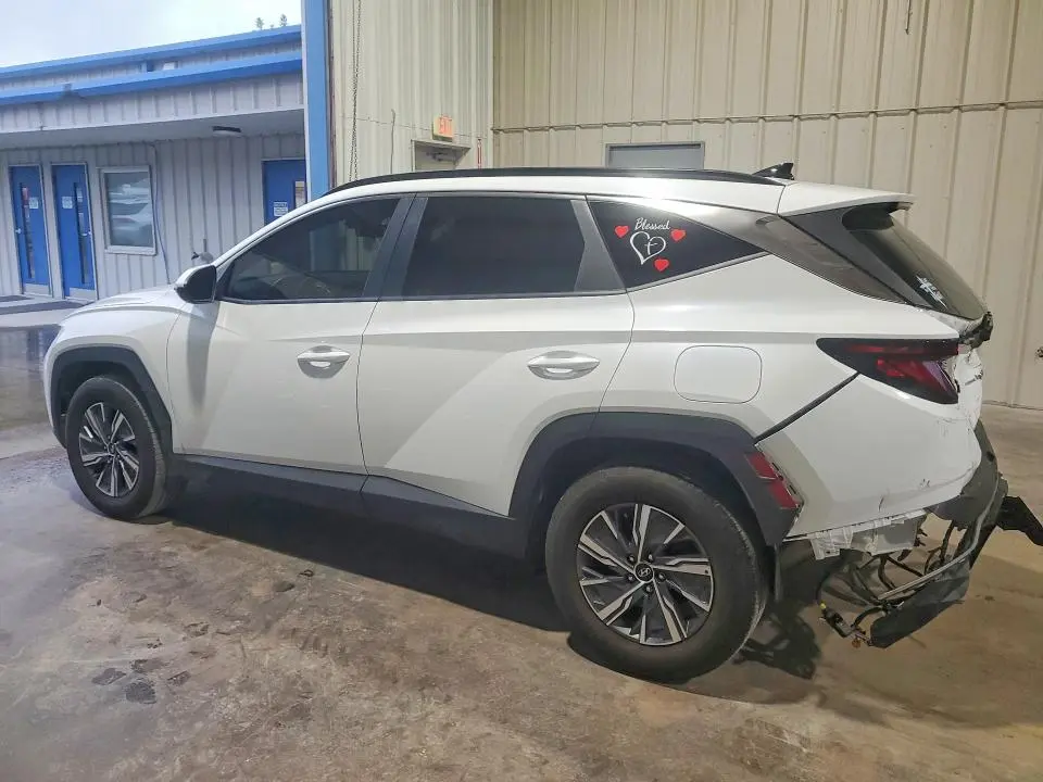 2024 HYUNDAI TUCSON BLUE  
