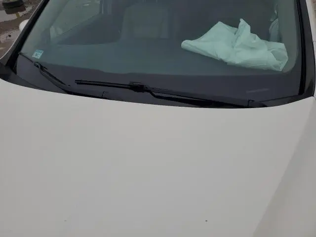 2019 HONDA PILOT EXL  