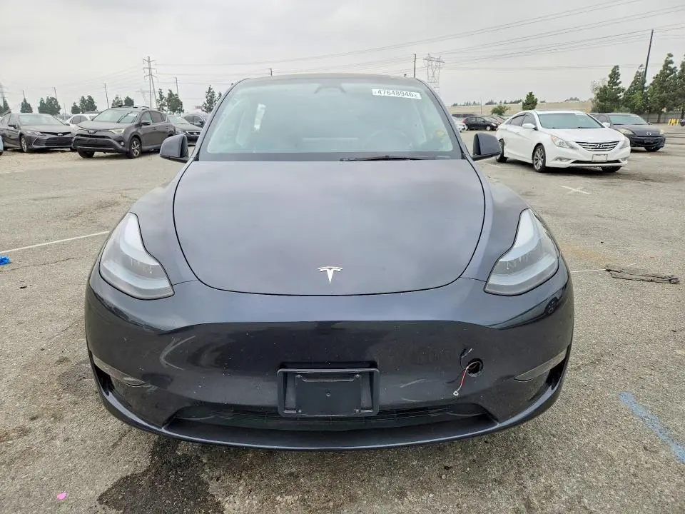 2025 TESLA MODEL Y   