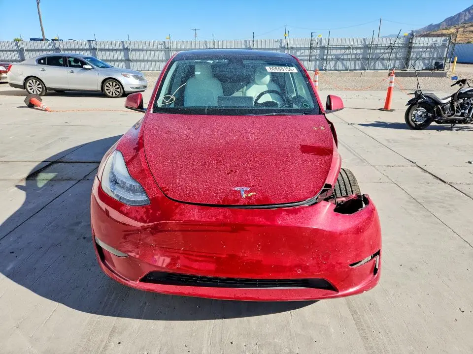 2021 TESLA MODEL Y   