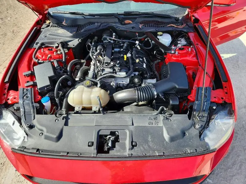 2021 FORD MUSTANG   