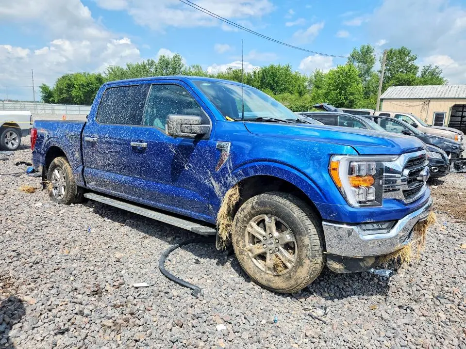 2023 FORD F150 SUPERCREW  