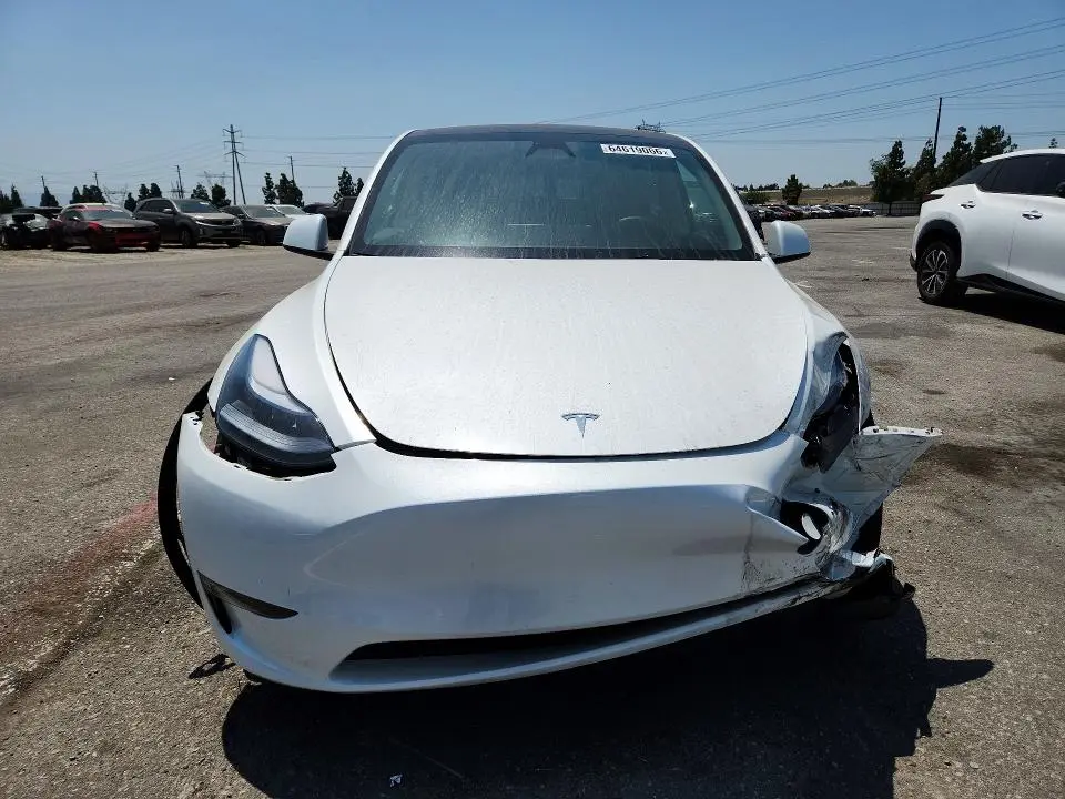 2025 TESLA MODEL Y   