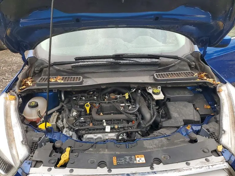 2019 FORD ESCAPE SEL  