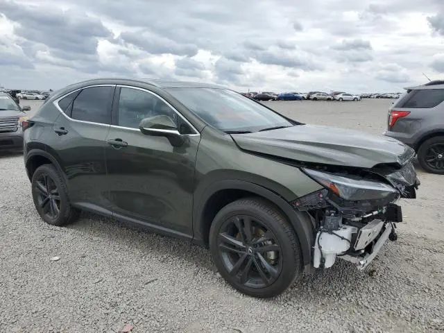 2024 LEXUS NX 450H LUXURY  