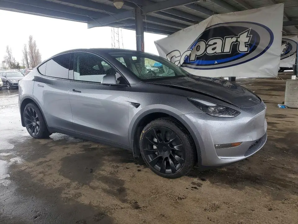 2025 TESLA MODEL Y   