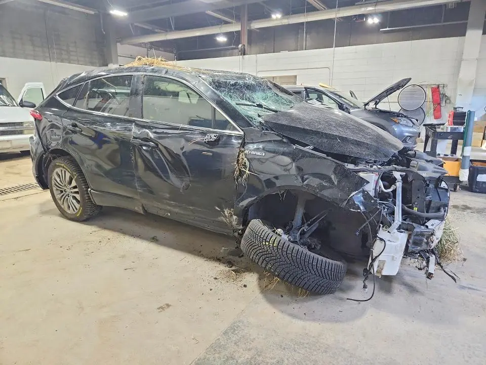 2021 TOYOTA VENZA LIMITED  