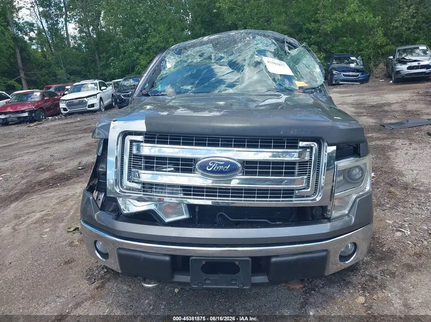 2014 FORD F-150 XLT