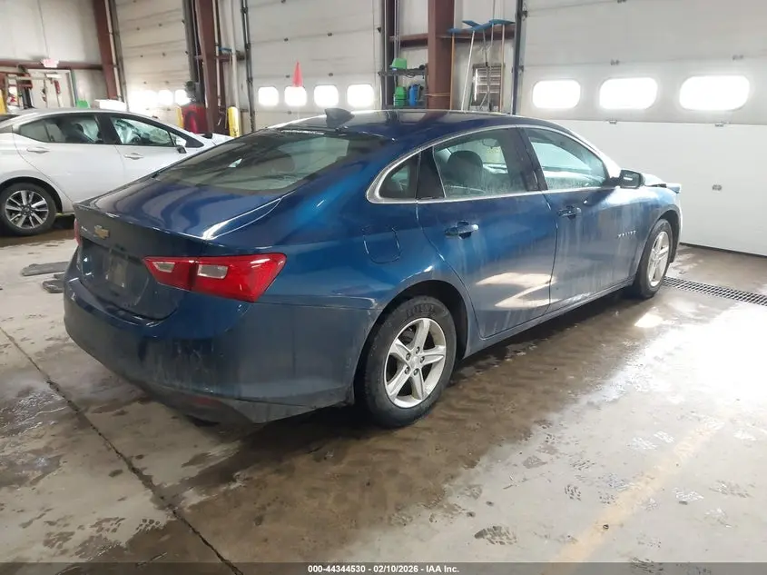 2019 CHEVROLET MALIBU 1FL