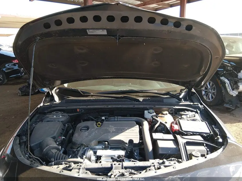 2023 CHEVROLET MALIBU FWD 1LT