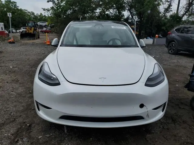 2025 TESLA MODEL Y   