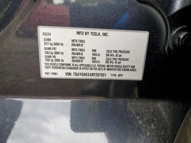 2024 TESLA MODEL Y   