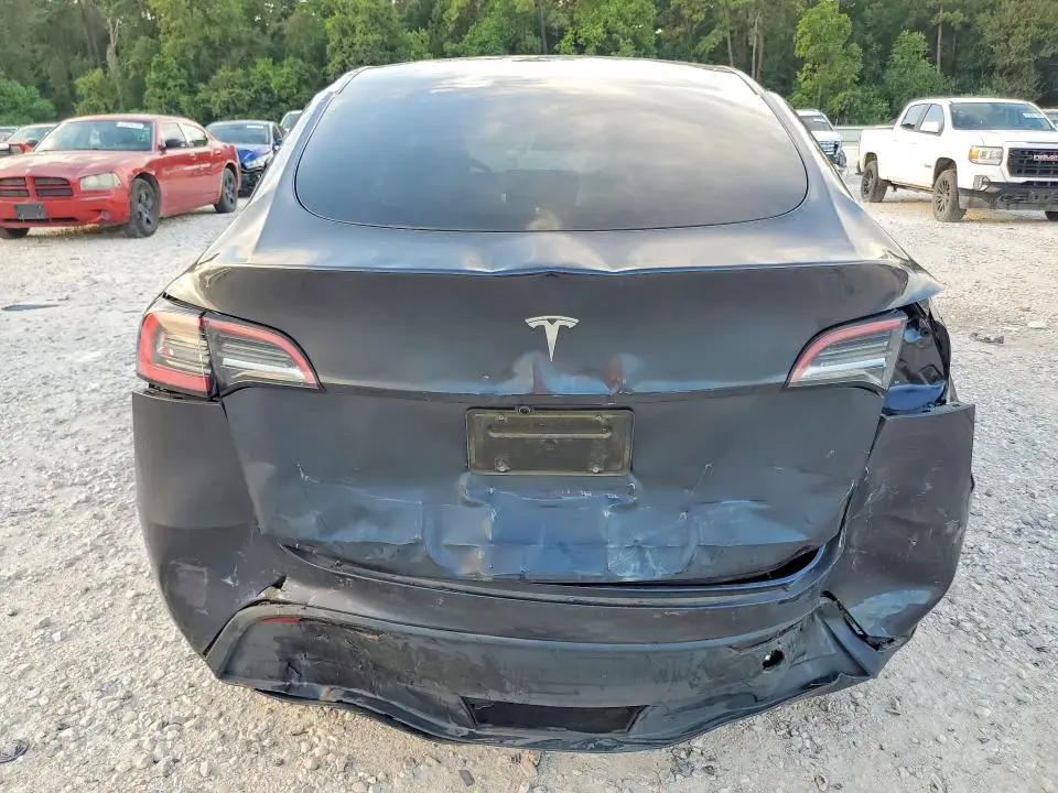 2025 TESLA MODEL Y   