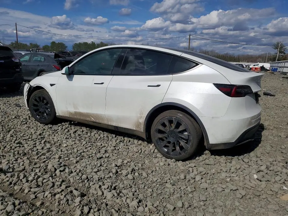 2021 TESLA MODEL Y   