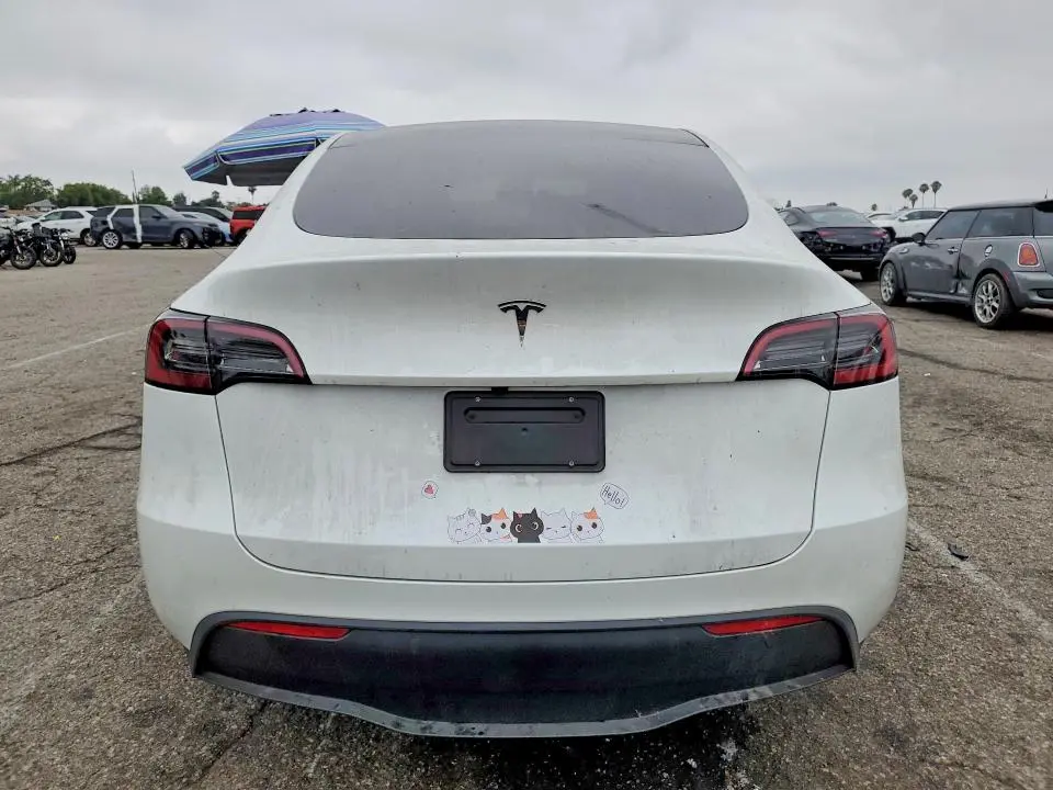 2024 TESLA MODEL Y   