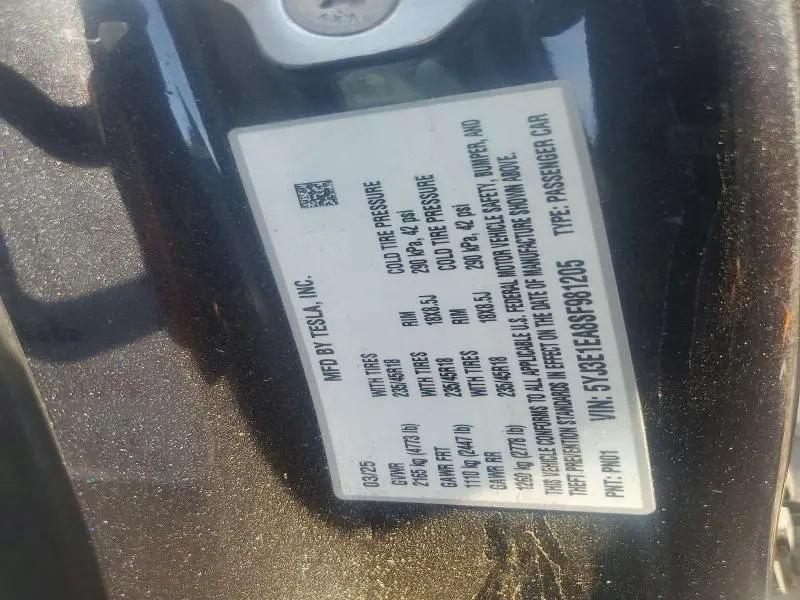 2025 TESLA MODEL 3   
