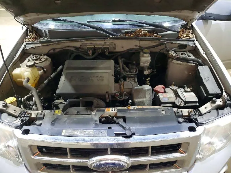 2010 FORD ESCAPE XLT  