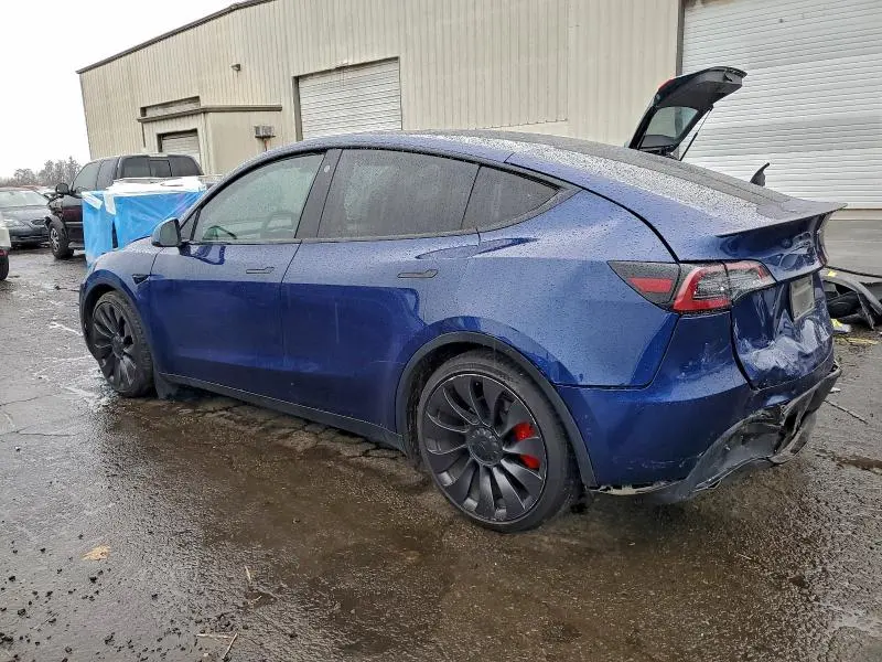 2021 TESLA MODEL Y   