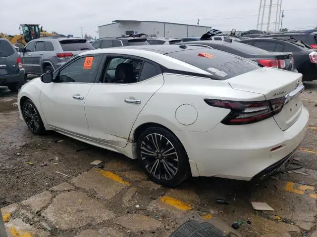 2019 NISSAN MAXIMA S  