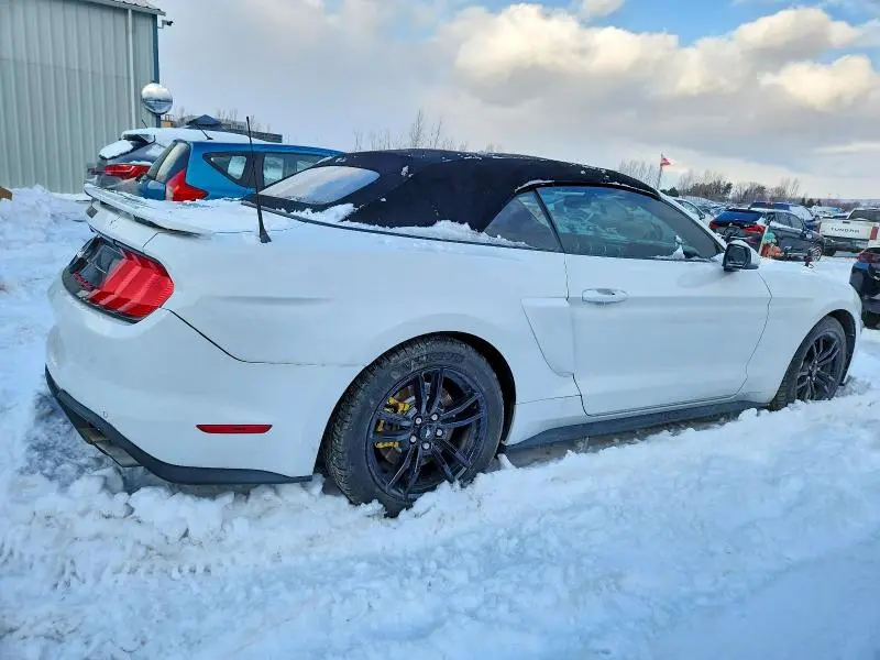 2019 FORD MUSTANG GT  
