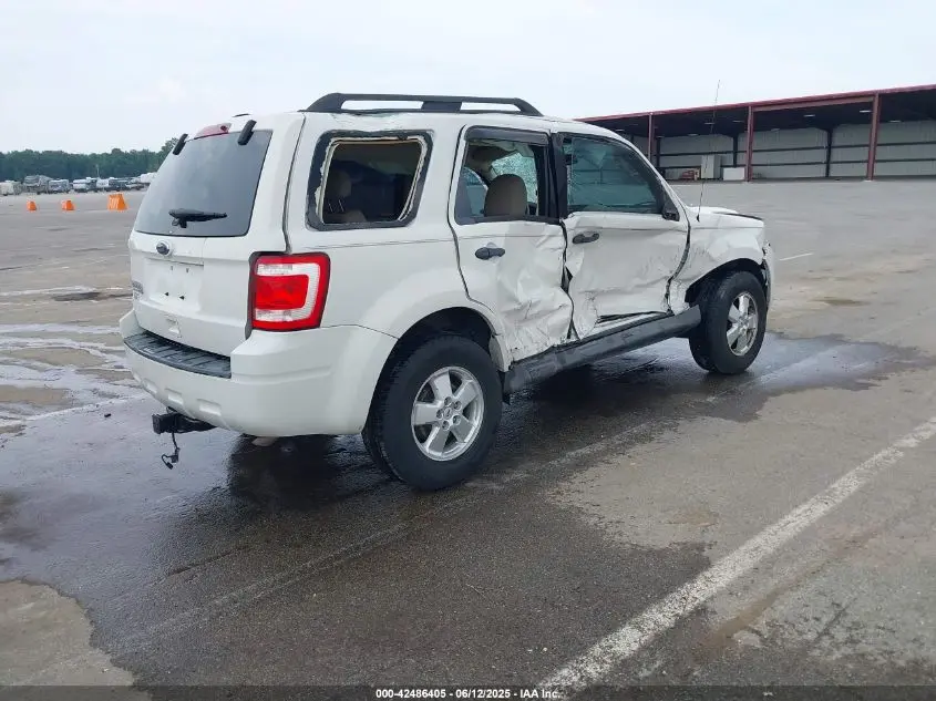 2010 FORD ESCAPE XLT