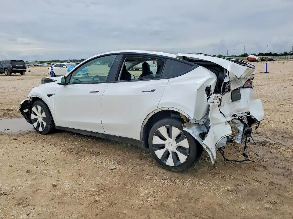 2021 TESLA MODEL Y   