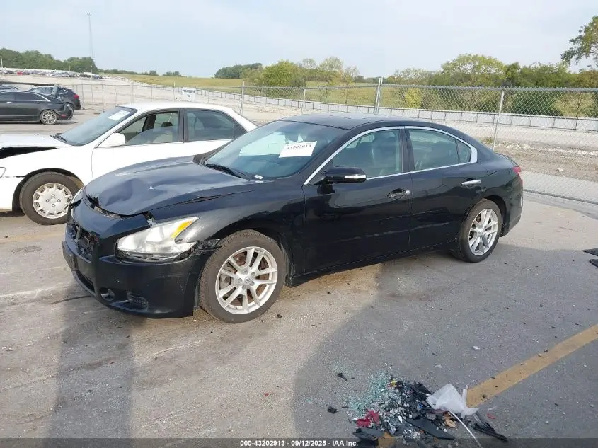 2011 NISSAN MAXIMA 3.5 SV