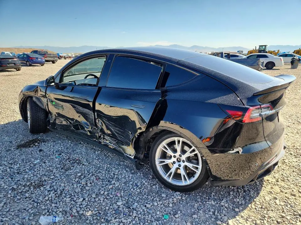 2020 TESLA MODEL Y   