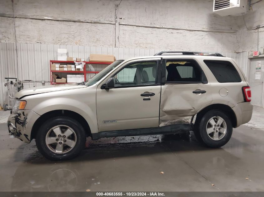 2010 FORD ESCAPE XLT