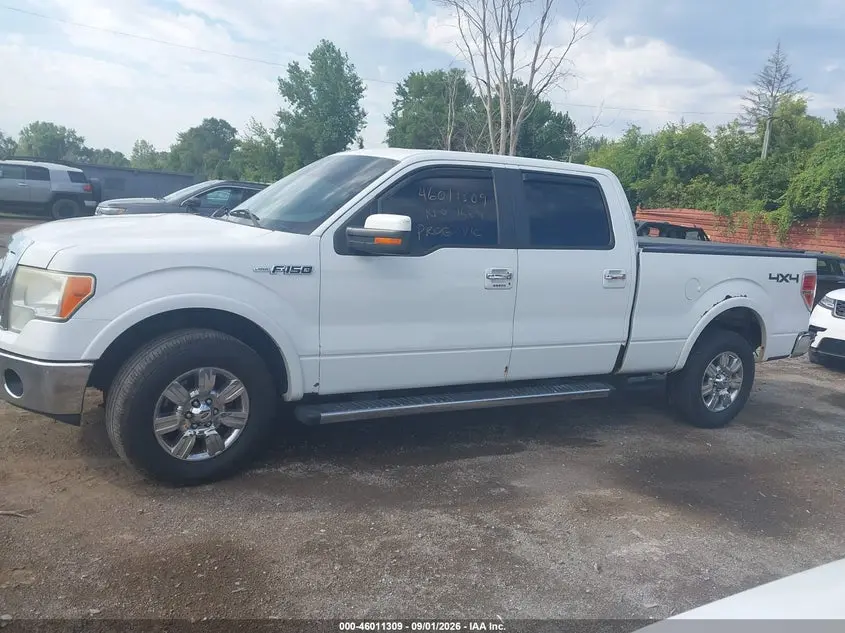 2010 FORD F-150 FX4/HARLEY-DAVIDSON/KING RANCH/LARIAT/PLATINUM/XL/XLT