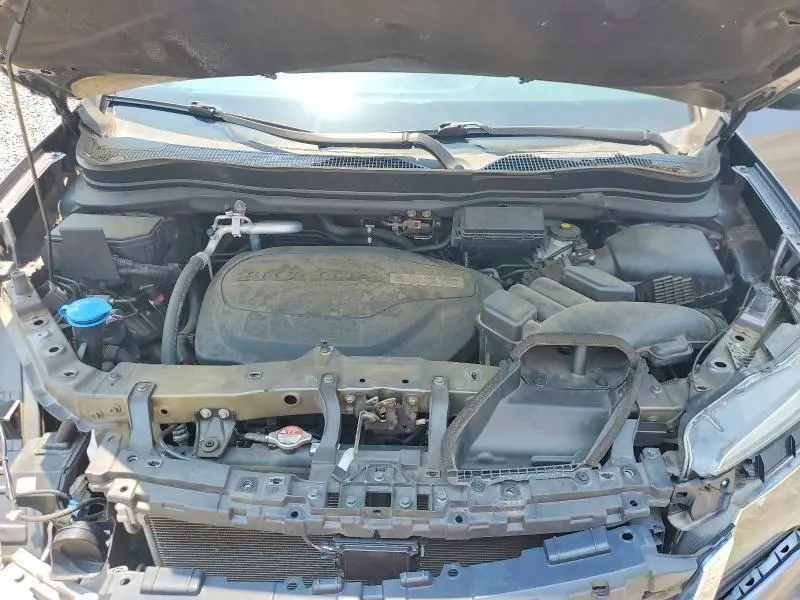 2019 HONDA PILOT EXL  