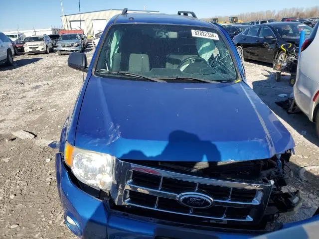 2011 FORD ESCAPE XLT  