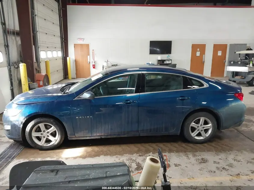 2019 CHEVROLET MALIBU 1FL