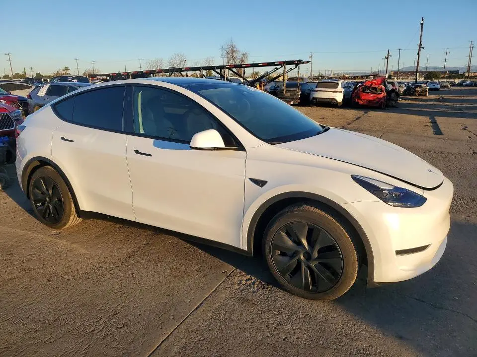 2025 TESLA MODEL Y   