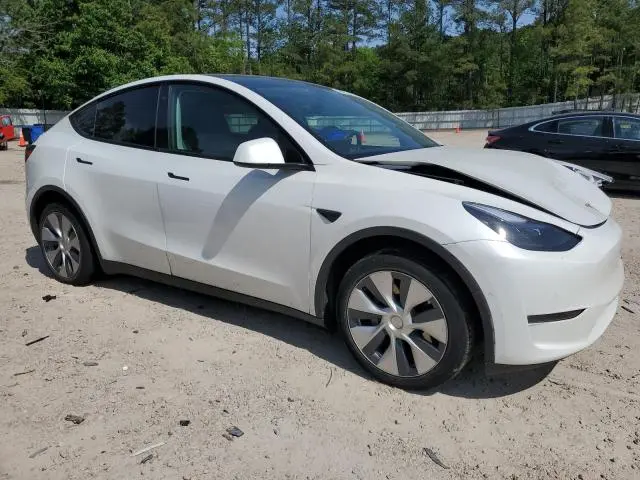 2020 TESLA MODEL Y 