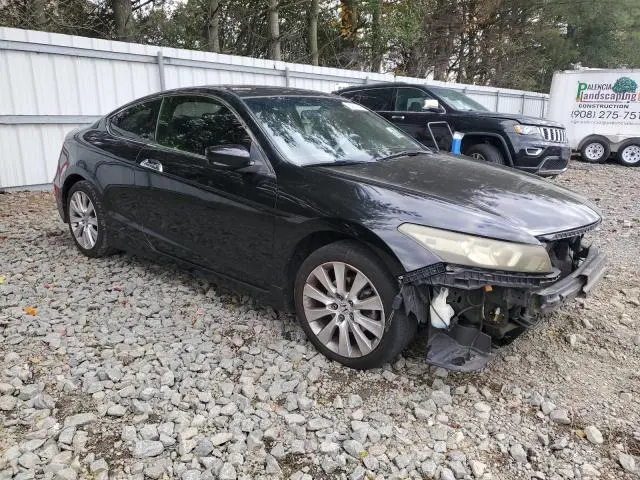 2010 HONDA ACCORD EXL  
