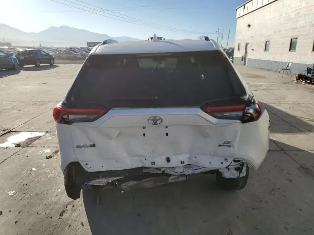 2025 TOYOTA RAV4 SE  