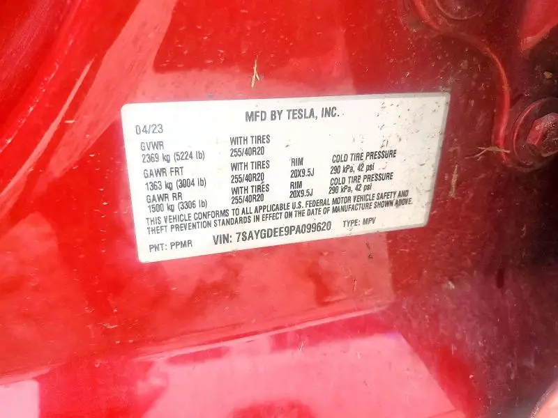 2023 TESLA MODEL Y   
