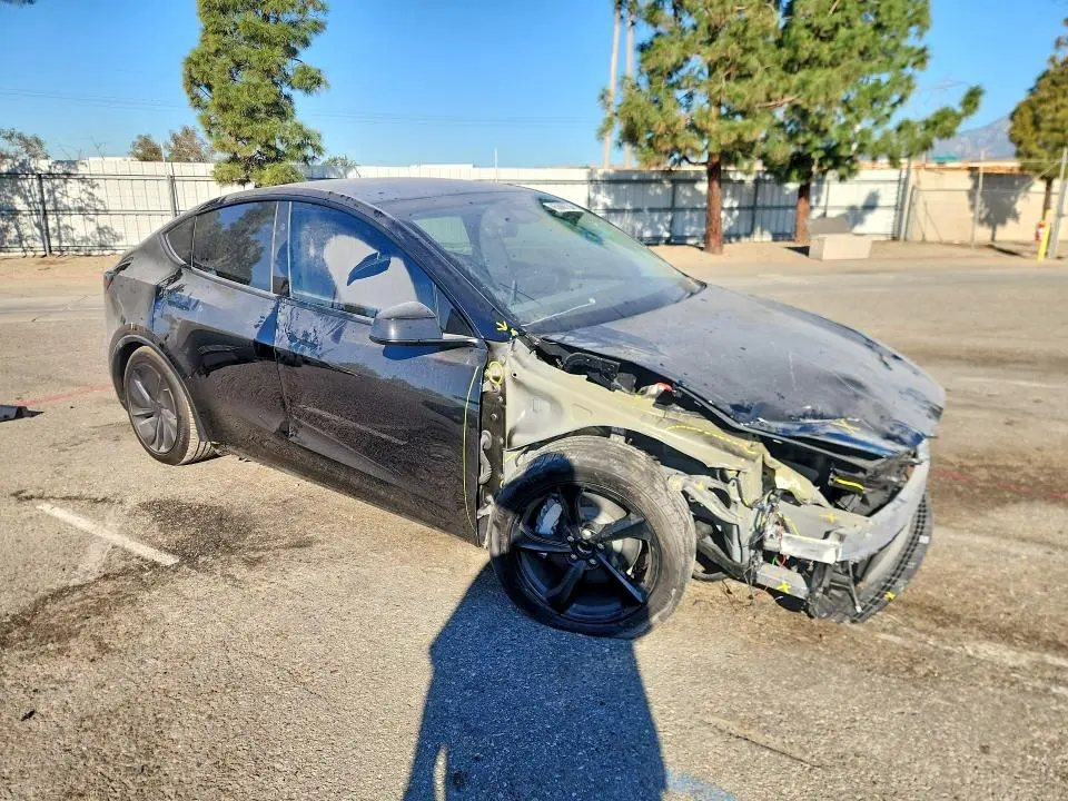 2026 TESLA MODEL Y   