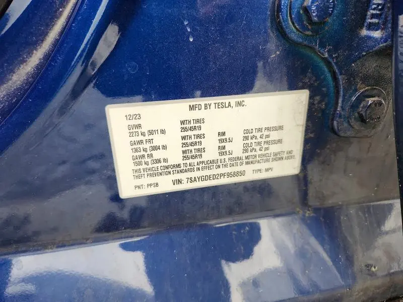 2023 TESLA MODEL Y   