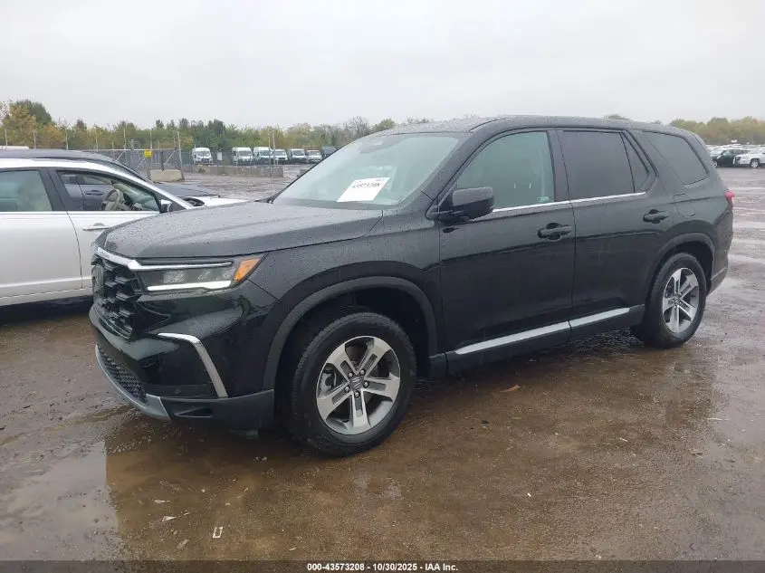 2025 HONDA PILOT EX-L