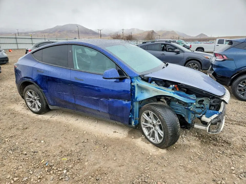 2024 TESLA MODEL Y   